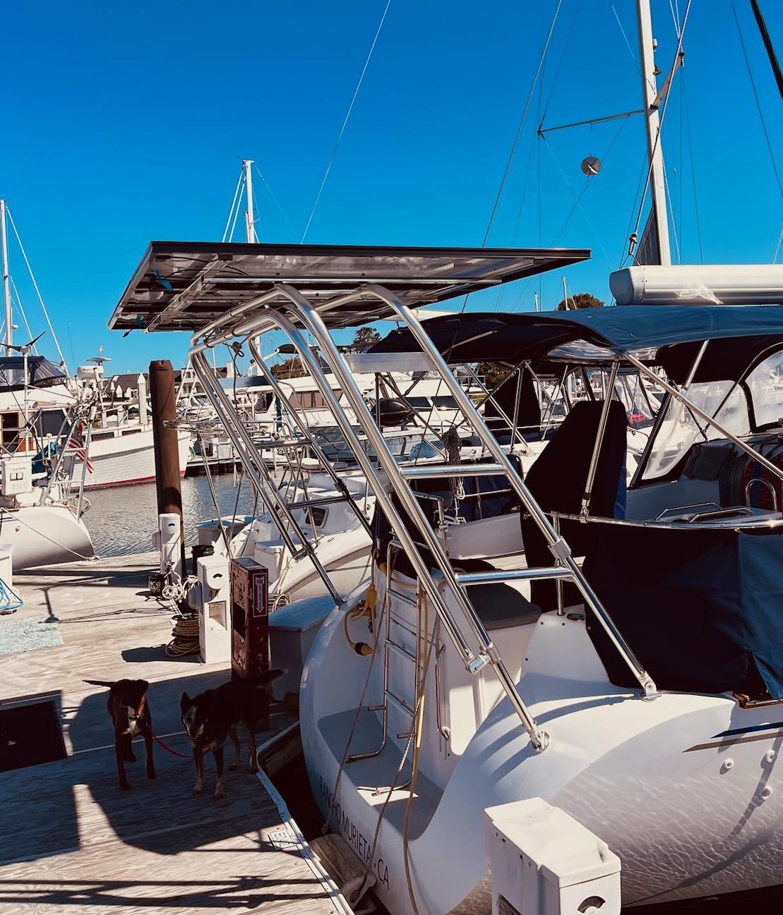 Atlantic Towers Arch installed on a Catalina boat, with two dogs on the dock and other boats in the marina.