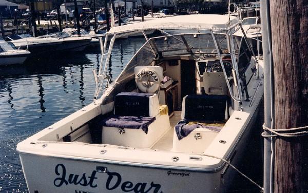 Atlantic Towers Top installed on the Phoenix 27 Weekender boat named Just Dear docked at a marina with calm water.