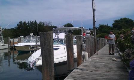 Atlantic Towers Top installed on a Sea Ray 260 Sundancer docked at a marina with wooden pilings.