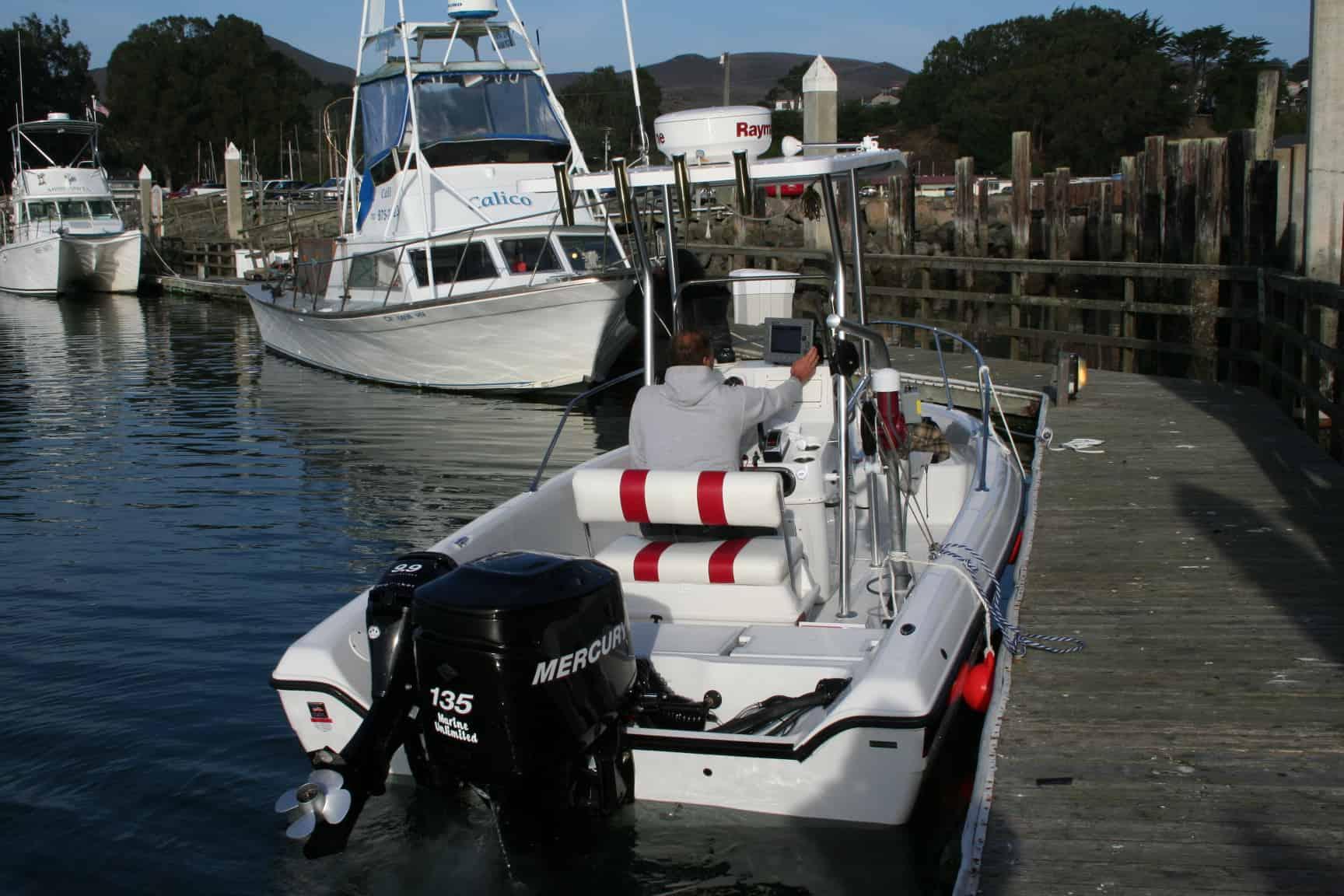 Champion Sea Champ T-Top 2006 image 1