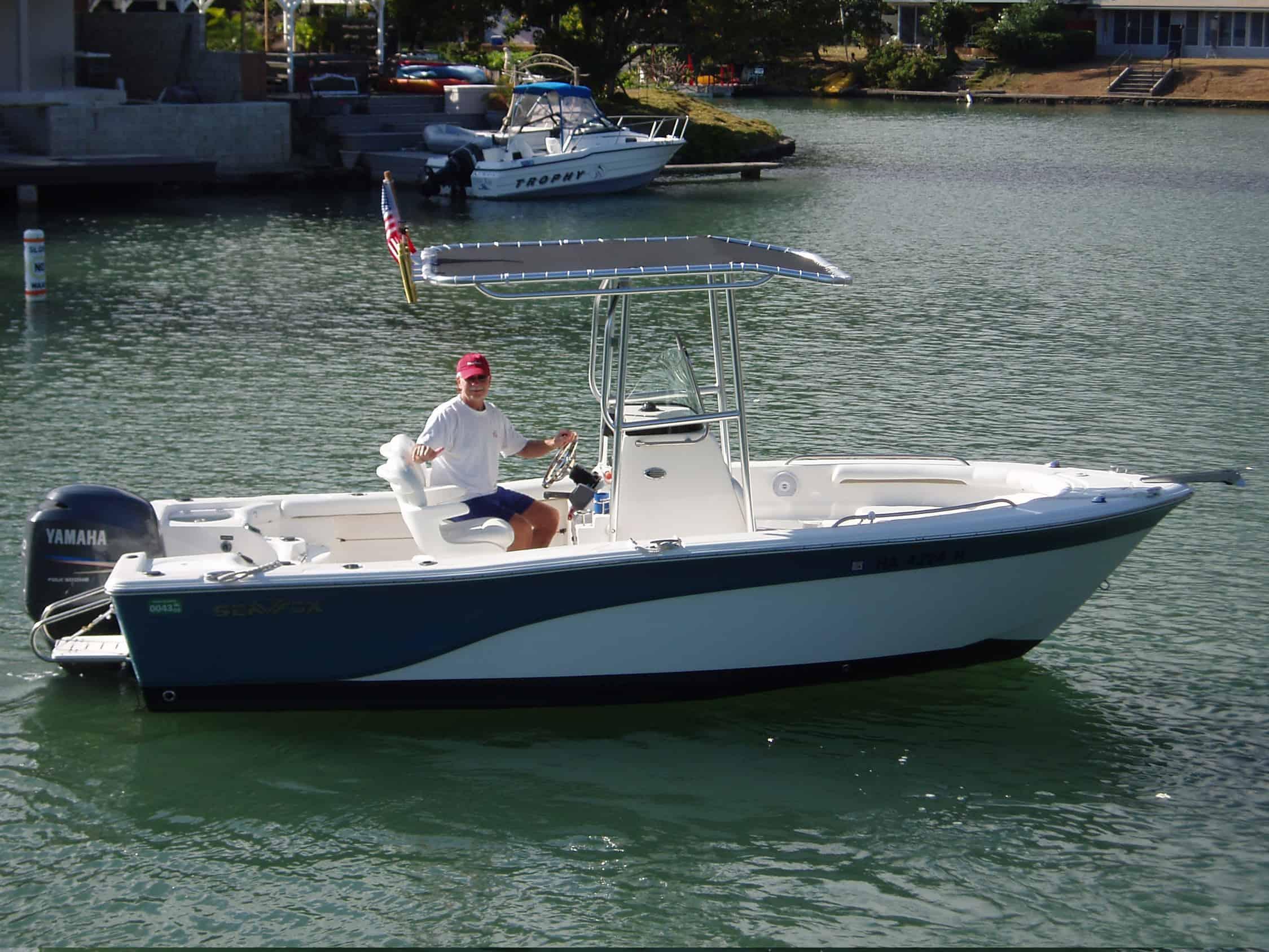 Sea Fox 206 T-Top 2008 image 1