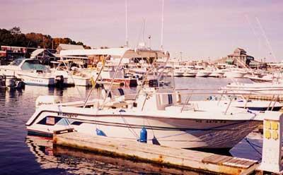Ranger 230C boat docked at marina with Atlantic Towers arch installed and other boats in background