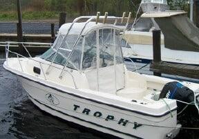 Trophy 2002 Trophy Arch 2002 image 1