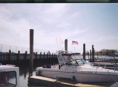 Seaswirl 2150 Striper Arch 1995 image 1