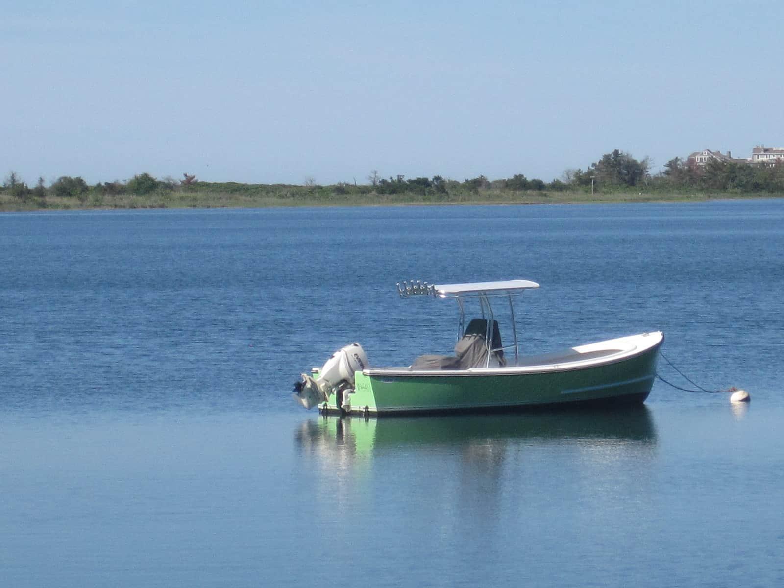 Eastern Boats T-Top 2011 image 1