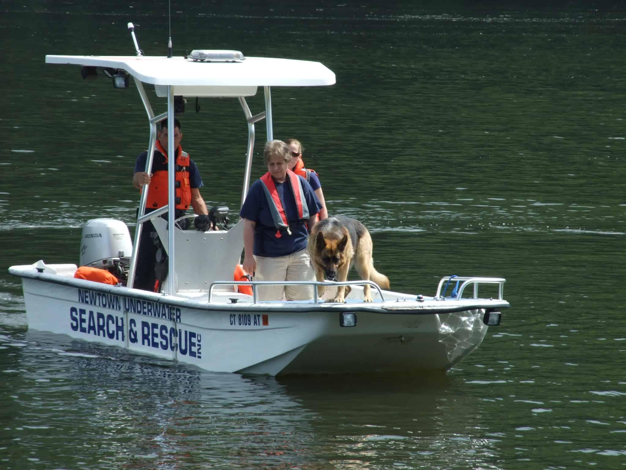 Carolina Skiff 19' T-Top 1995 image 1