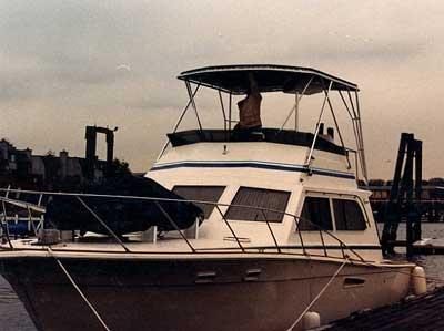 Egg Harbor 37 Convertible Top 1985 image 1