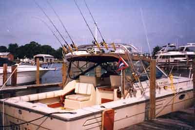 Atlantic Towers Arch installed on a Tiara 3100 Open cruiser boat with polished metal and rigging attachments.