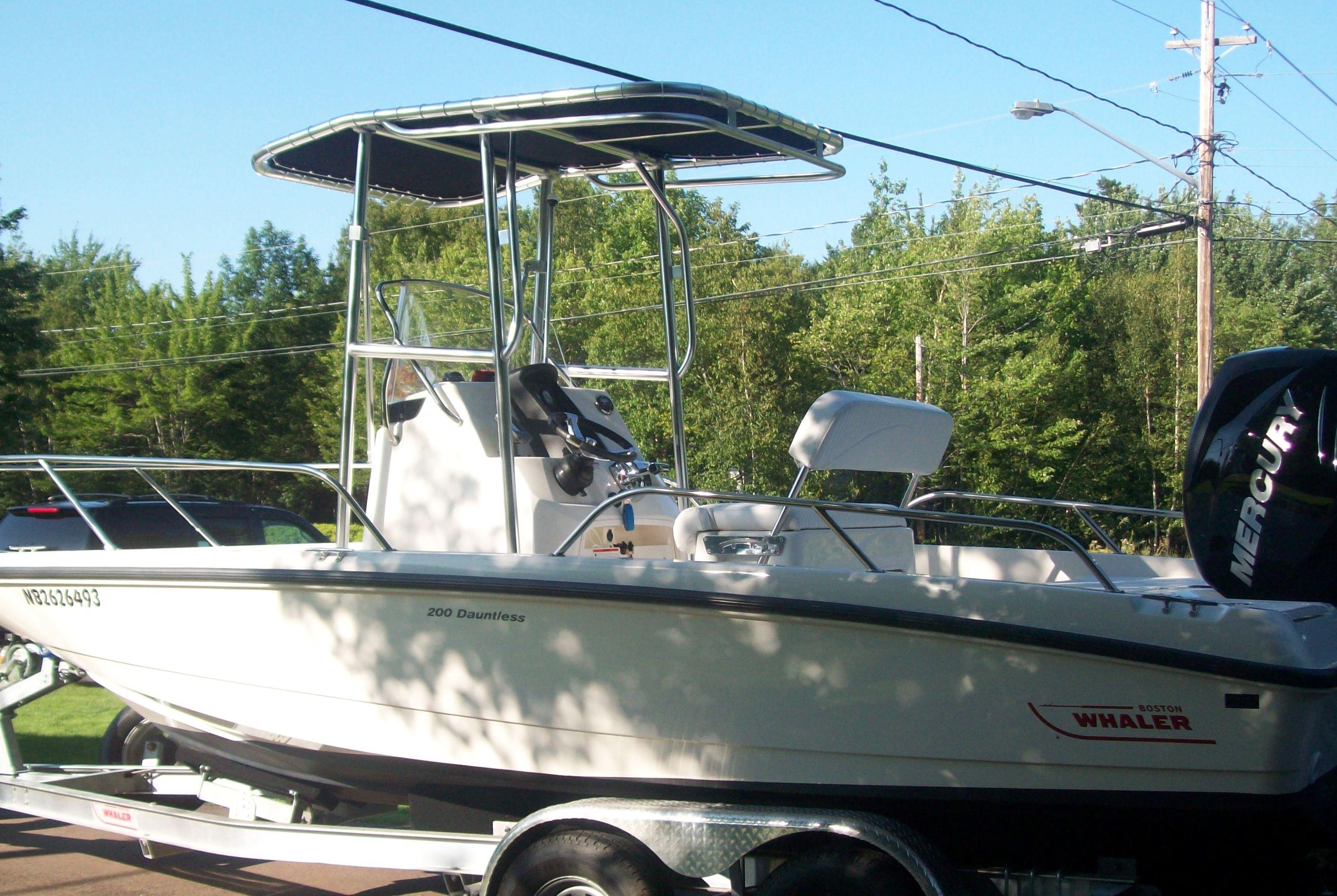 Boston Whaler T-Top image 1