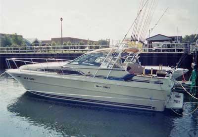 Atlantic Towers Arch installed on a Sea Ray 340 Sundancer express cruiser, showcasing boat's stern and cabin design.