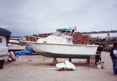 Edgewater 210 CC Arch 1996 image 1