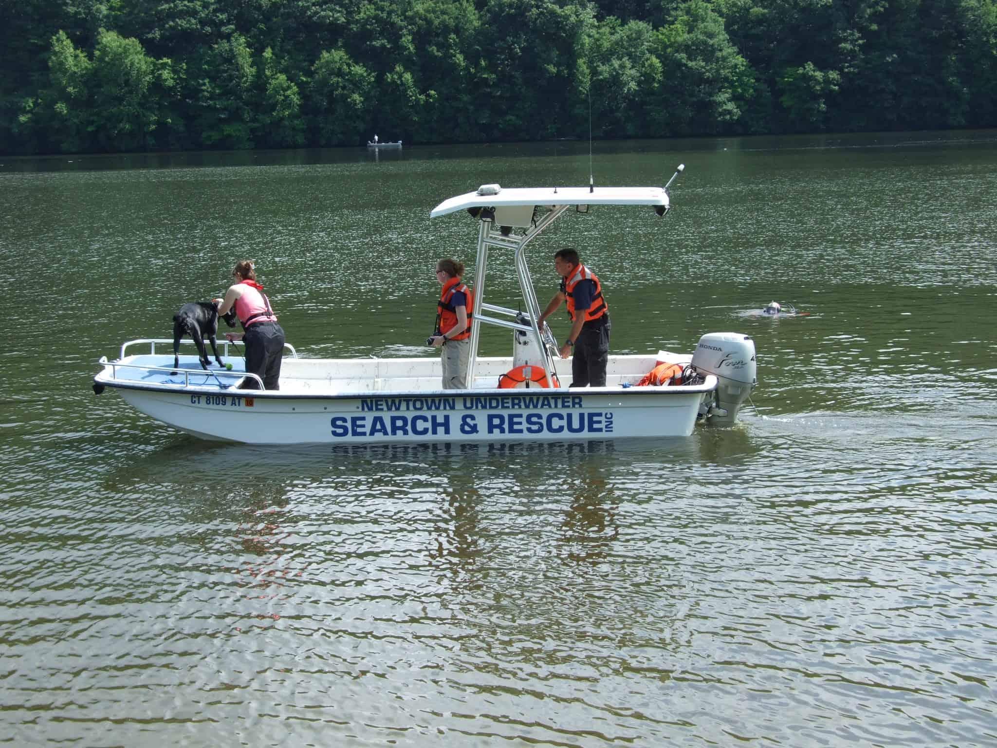 Carolina Skiff 19' T-Top 1995 image 1