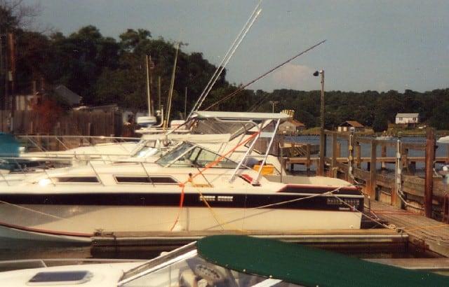 Wellcraft 288/2900 Express Suncruiser Top 1980 image 1