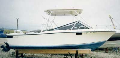 Atlantic Towers Top installed on a Sea Craft 23 Sceptre Cuddy boat, showcasing its sleek and functional design.
