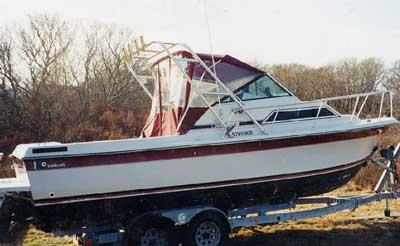 Atlantic Towers Arch installed on a Wellcraft 250 Sportsman/Coastal boat, parked on a trailer in a natural setting.