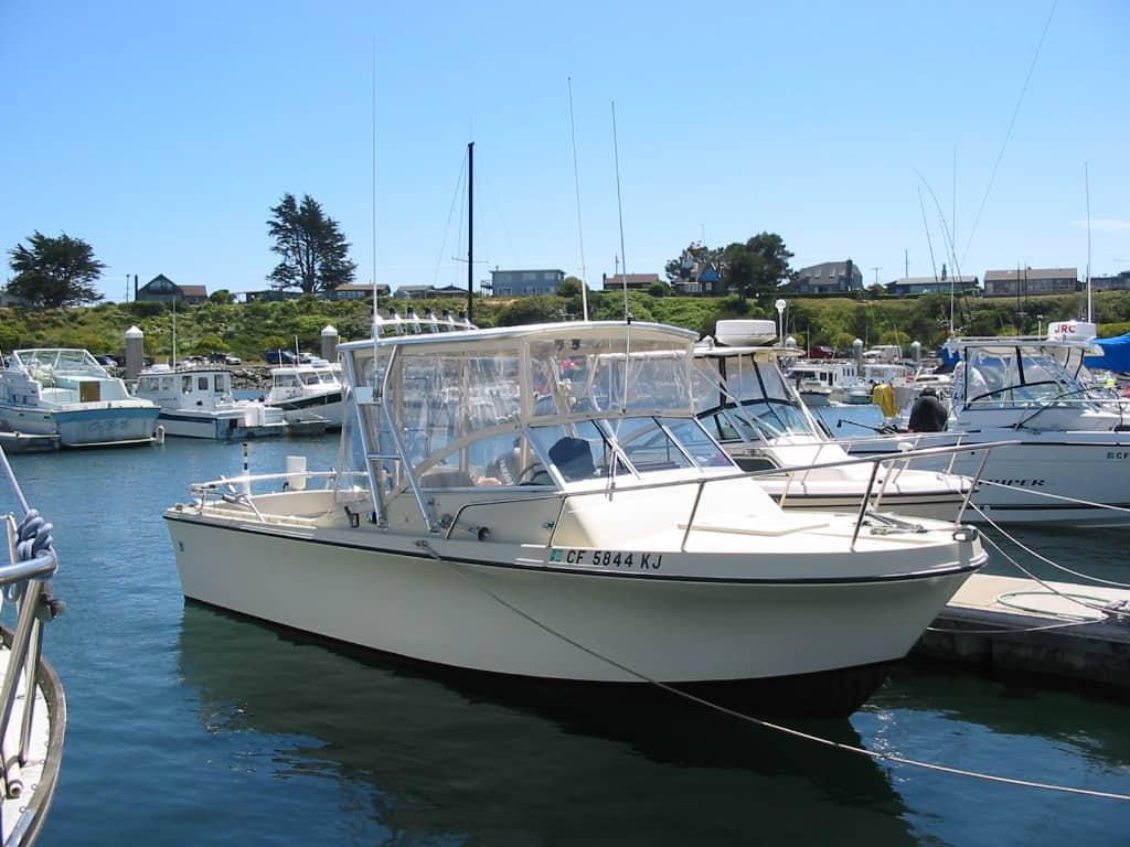 Skipjack Top image 1