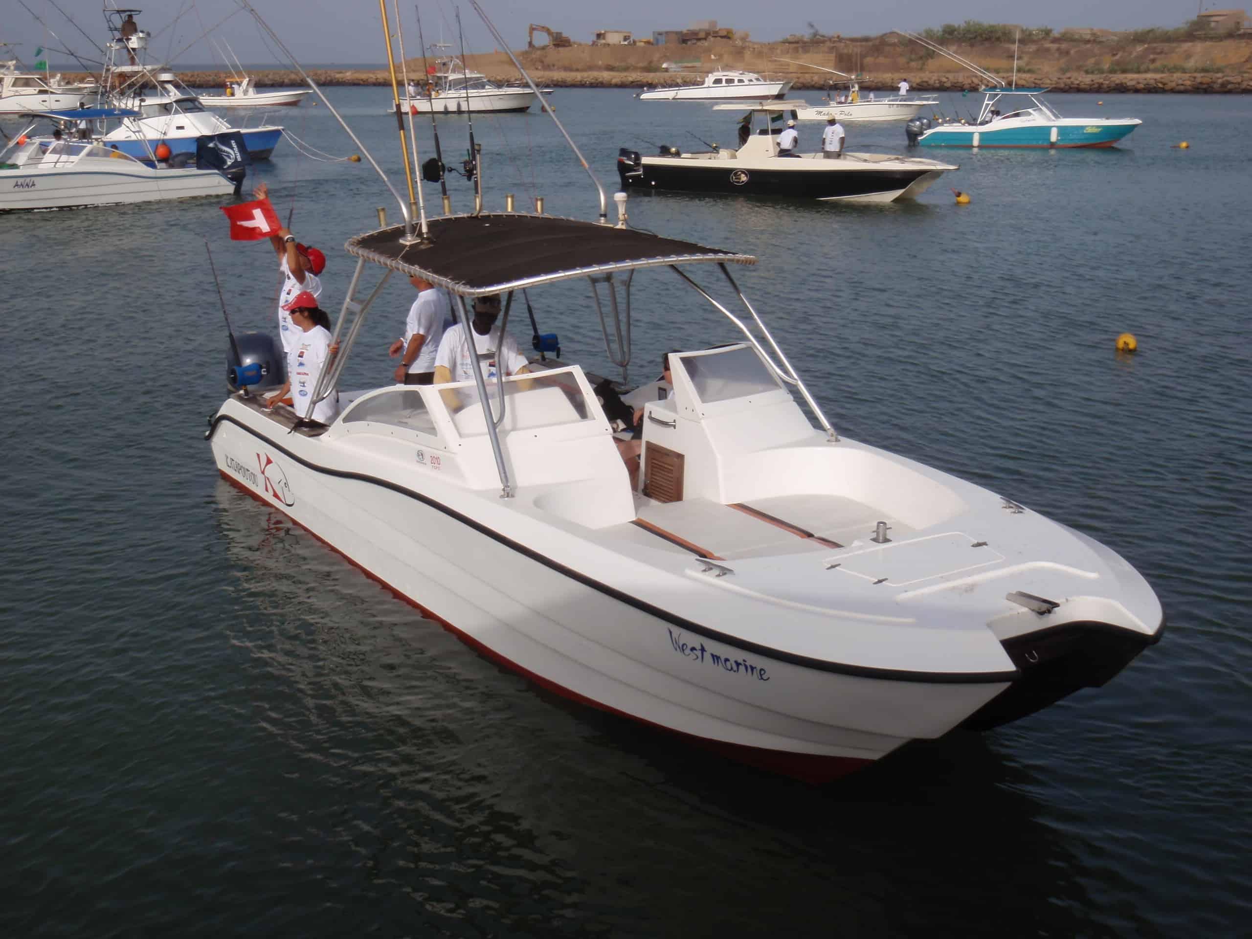 Atlantic Towers Top installed on an Atlantic Evasion power cat in a marina with other boats.