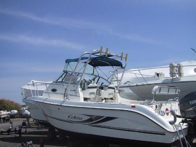Cobia 230 W/A Arch image 1