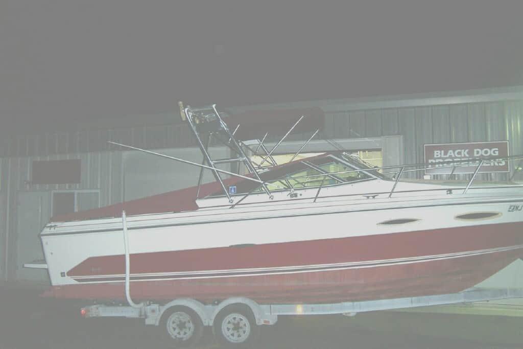 Sea Ray 250 SRV Arch 1986 image 1