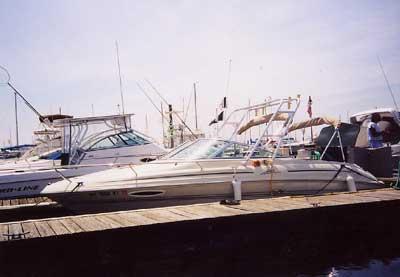 Sea Ray 215 Express Arch 1996 image 1