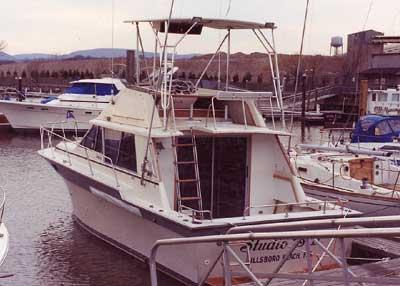 Silverton 34 Convertible Top 1984 image 1