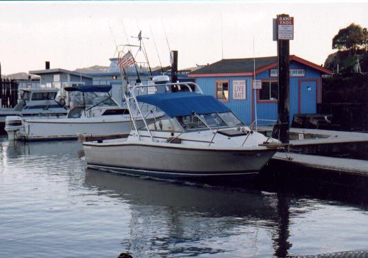 Bayliner 2460 Bayliner Arch 1984 image 1
