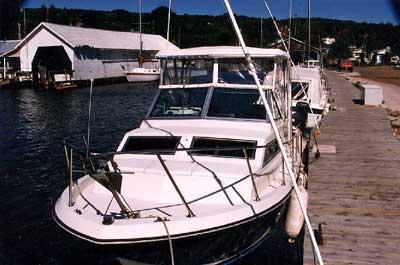 Wellcraft 248 Sportsman/ Coastal Top 1980 image 1