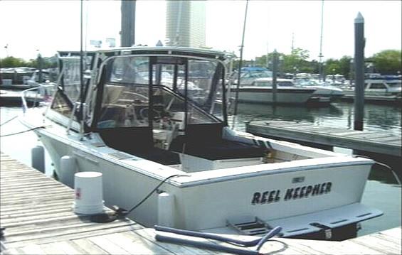 Blackfin 27 Combi Top 1990 image 1