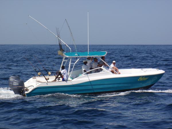 Atlantic Towers Top installed on Atlantic Evasion 28 Open Bow catamaran with twin engines docked near shore