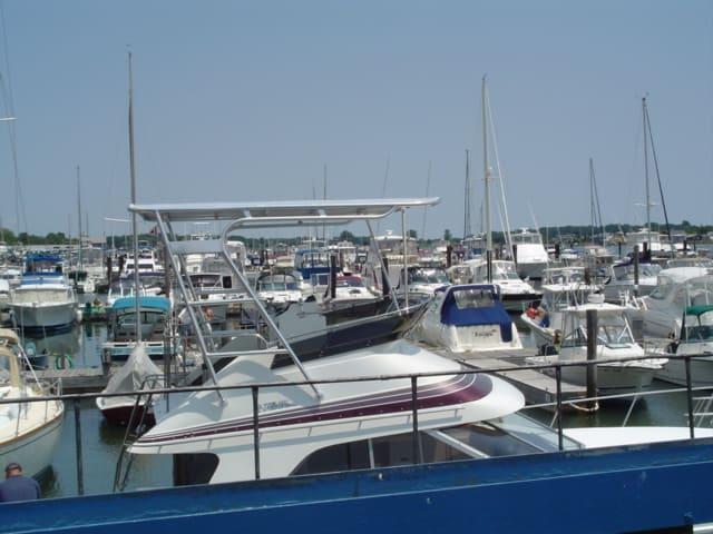 Trojan 12 Meter boat docked in marina equipped with Atlantic Towers Top arch under clear sky.