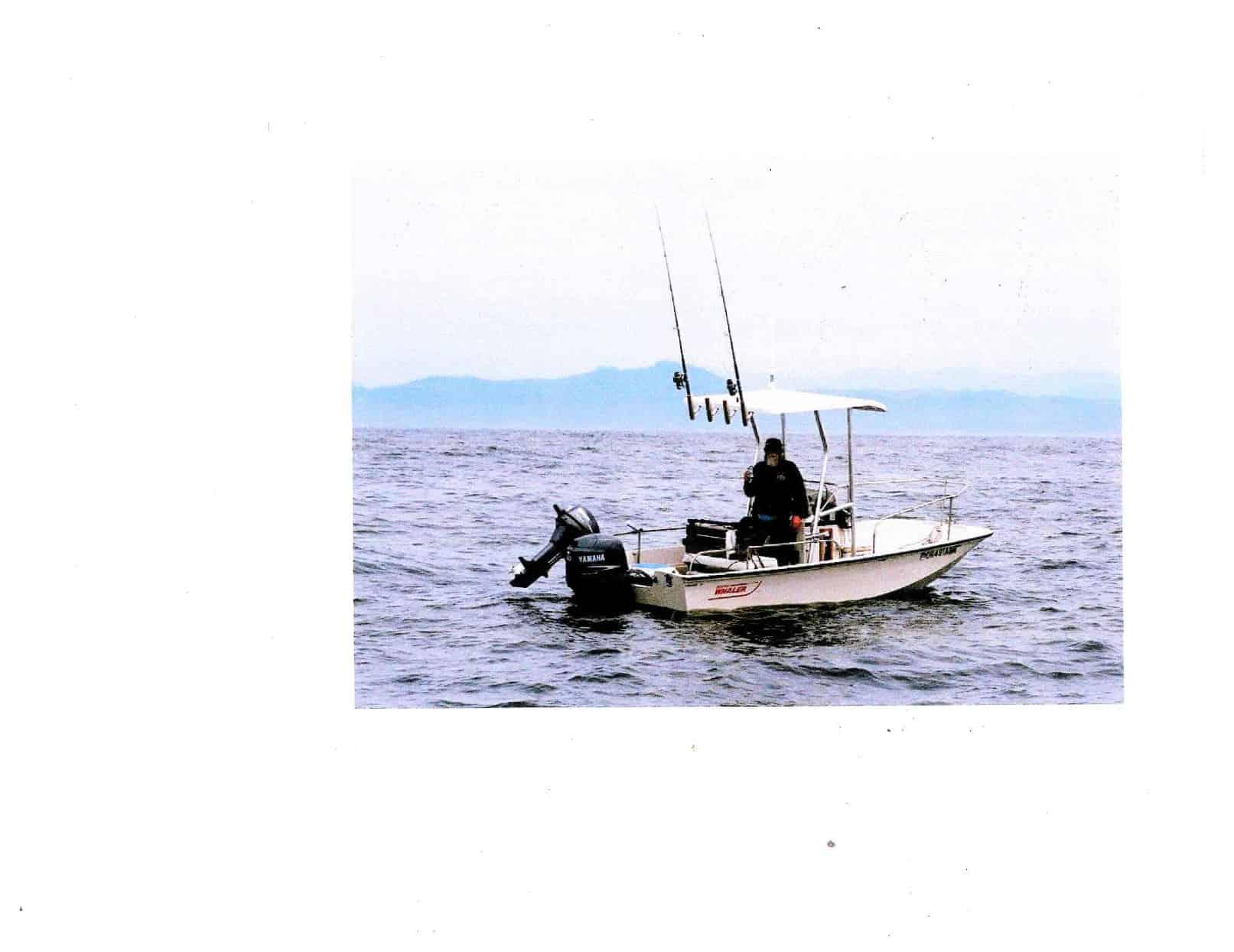 T-Top image 1