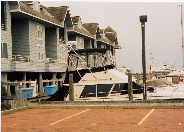 Silverton 34 Convertible Arch 1984 image 1