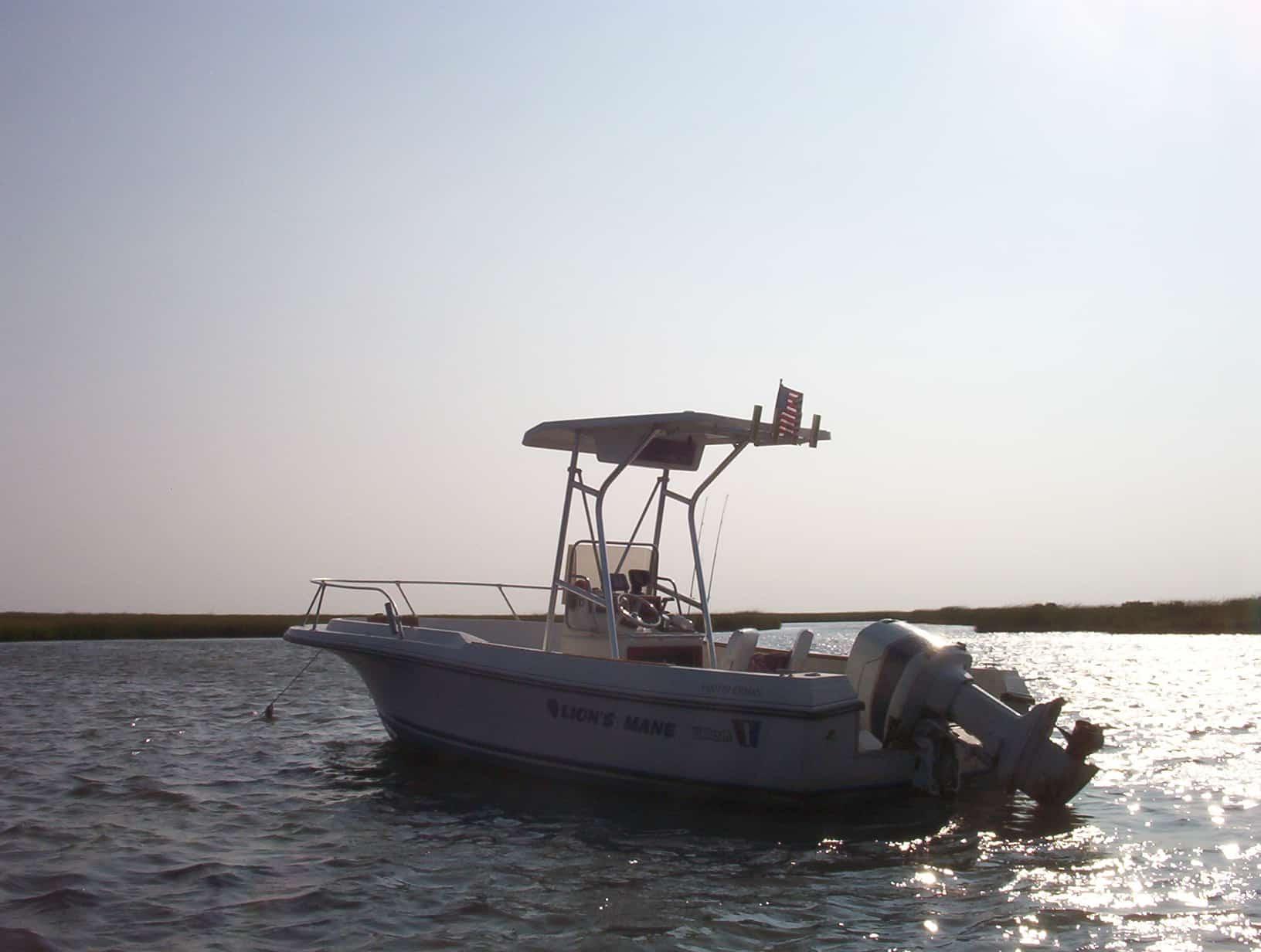 Wellcraft 20 Fisherman T-Top 1980 image 1