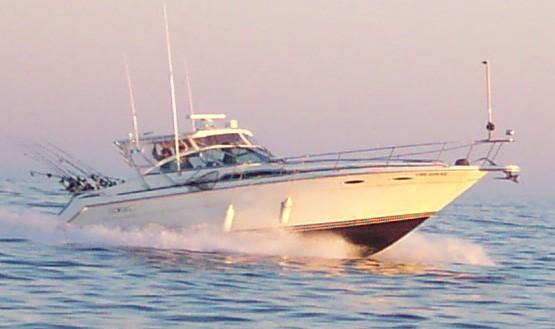 Sea Ray 350/370 Sundancer Top 1990 image 1