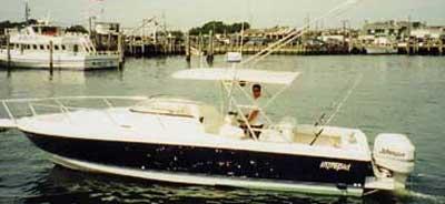 Intrepid 289 Walkaround Accessories 1997 image 1
