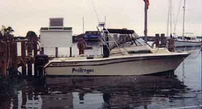 Grady White 268 Islander Arch 1995 image 1