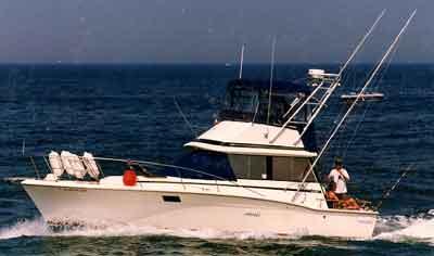 Trojan 32 Sedan Arch 1973 image 1