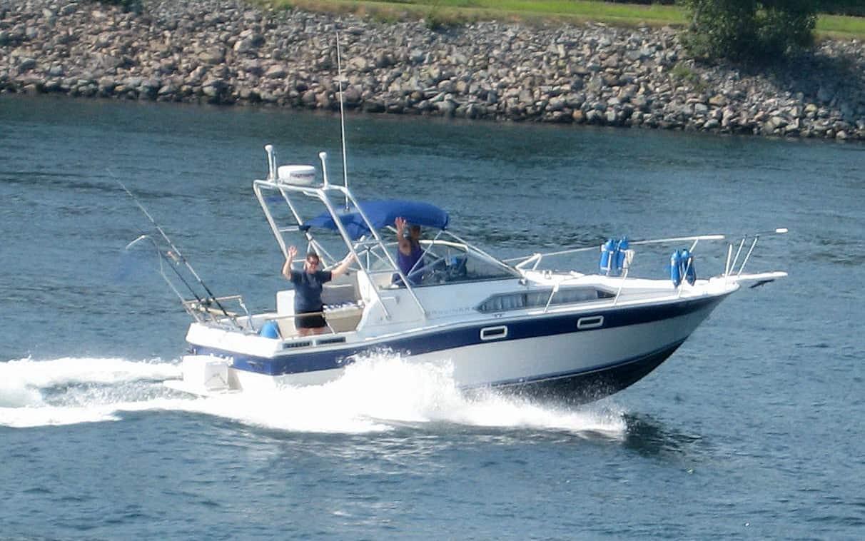 Bayliner 2850 Contessa Sunbridge Arch 1983 image 1