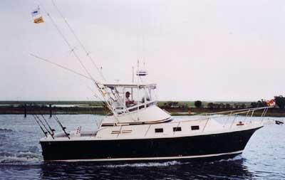 Albin 32+2 Command Bridge Top 1989 image 1