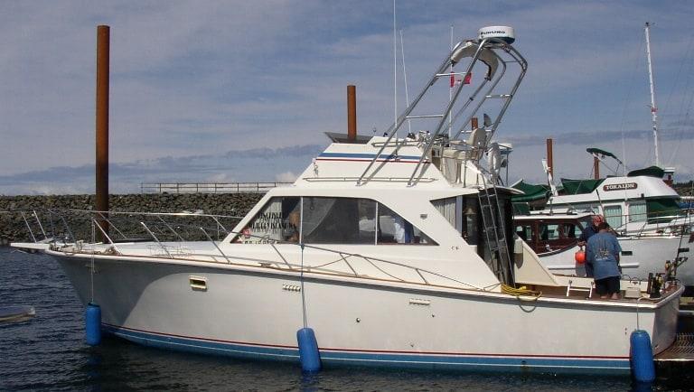 Pacemaker Sportfish Arch 1977 image 1