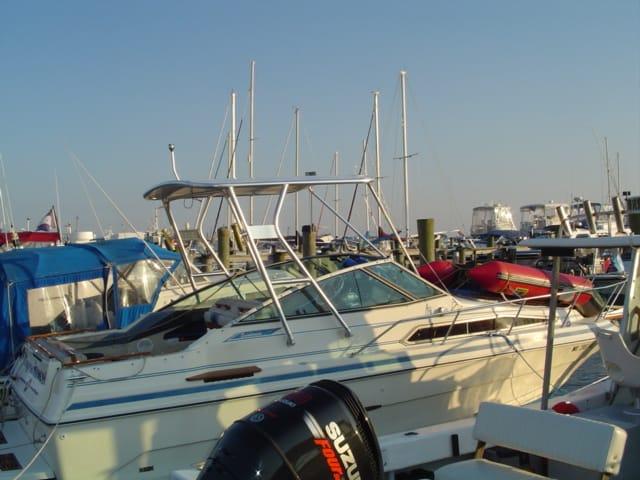 Sea Ray 250 Sundancer boat docked with Atlantic Towers Top installed, surrounded by other boats and calm water.