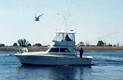 Atlantic Towers Top installed on a Viking 35 Convertible boat with two people fishing on calm water.