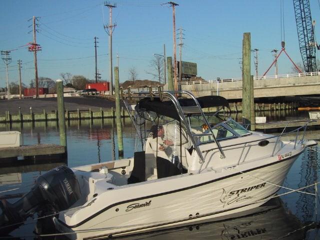 Seaswirl 2101 Striper Arch 2003 image 1