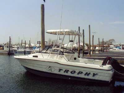 Bayliner 2002/ 2052 Walkaround Top 1991 image 1
