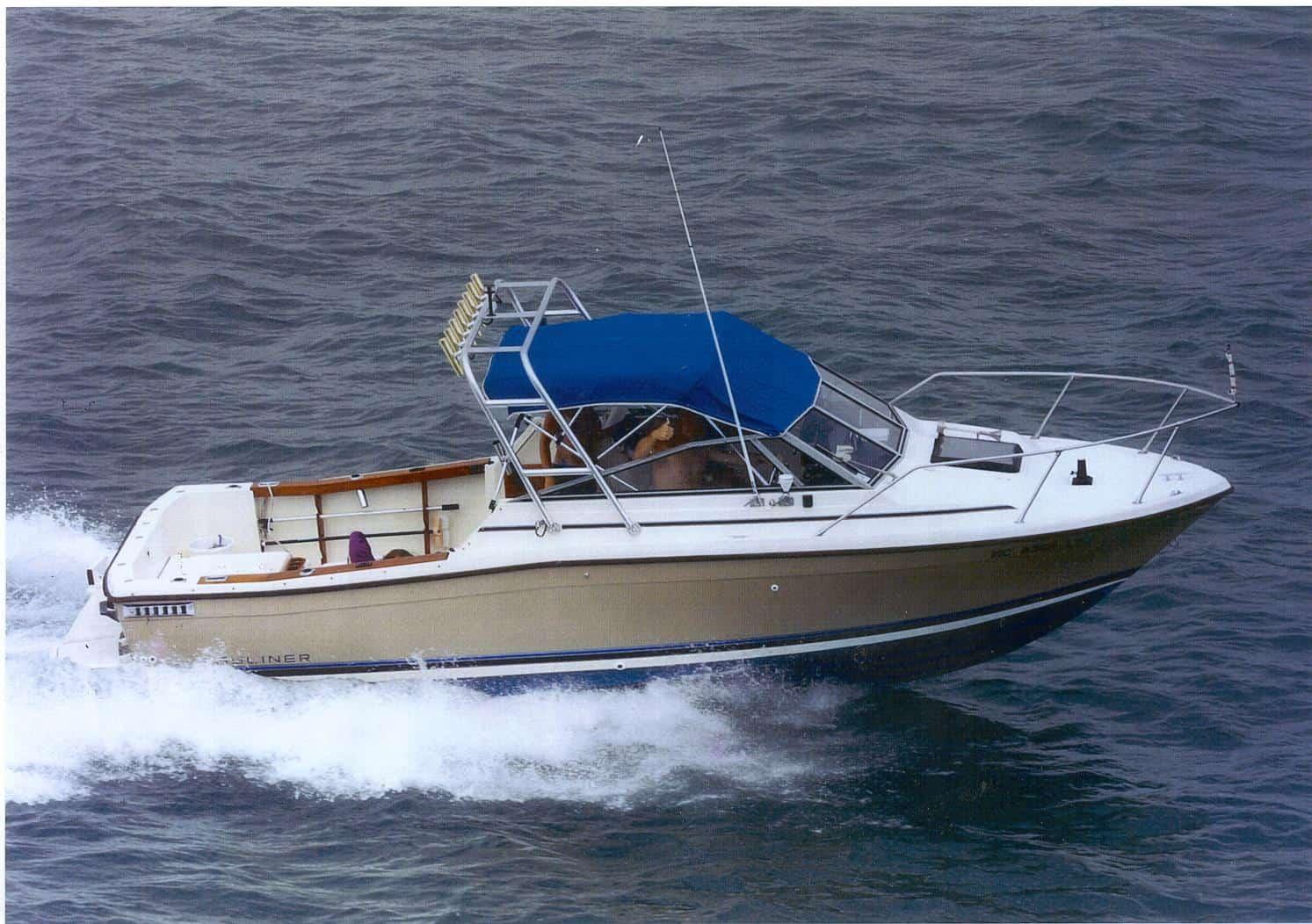 Atlantic Towers Arch installed on a Bayliner 2460 Cuddy boat navigating through water.