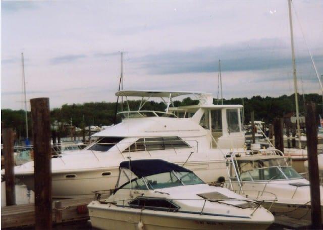 Cruisers 3650/ 3750 Aft Cabin Top 1995 image 1
