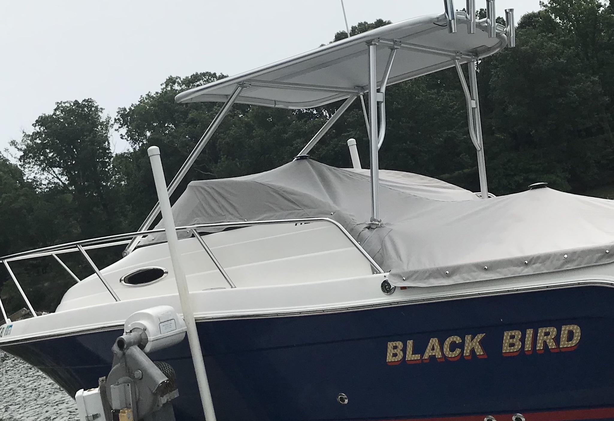 Robalo Top image 1