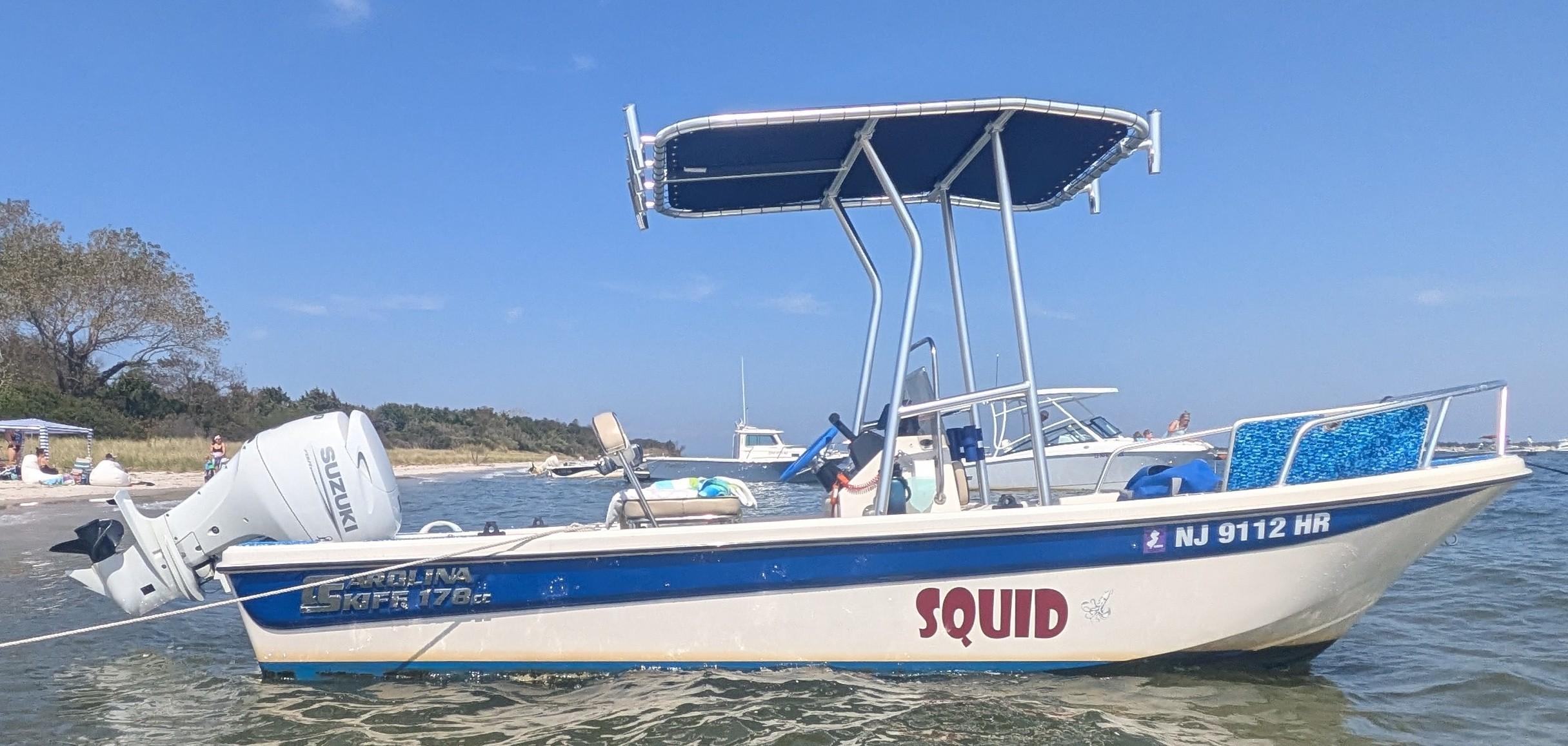 Carolina Skiff T-Top 2022 image 1