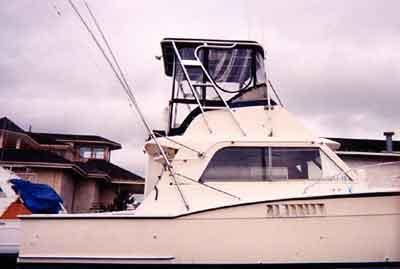 Hattaras 36 Convertible Top 1969 image 1