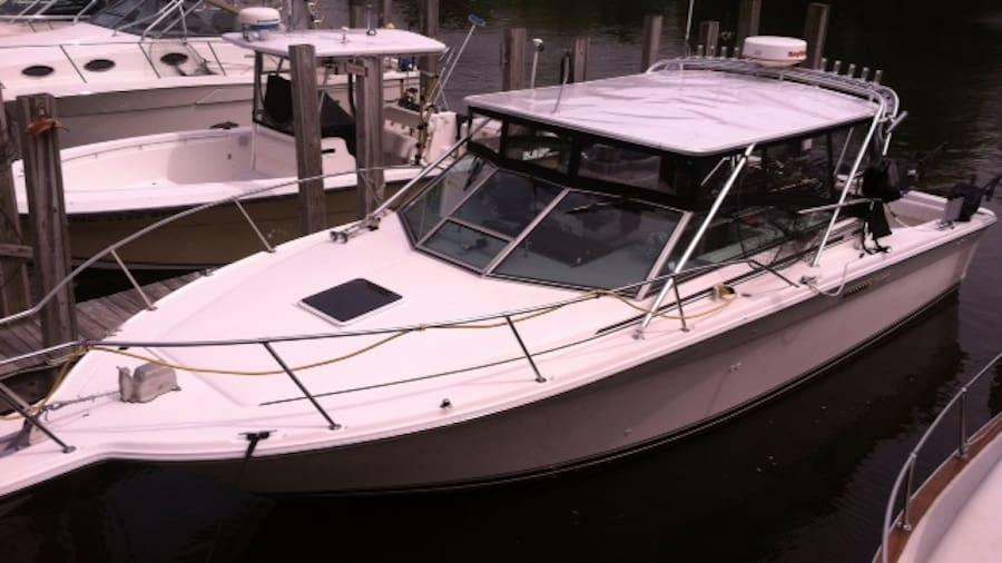 Sea Ray 310 Amberjack Top 1992 image 1